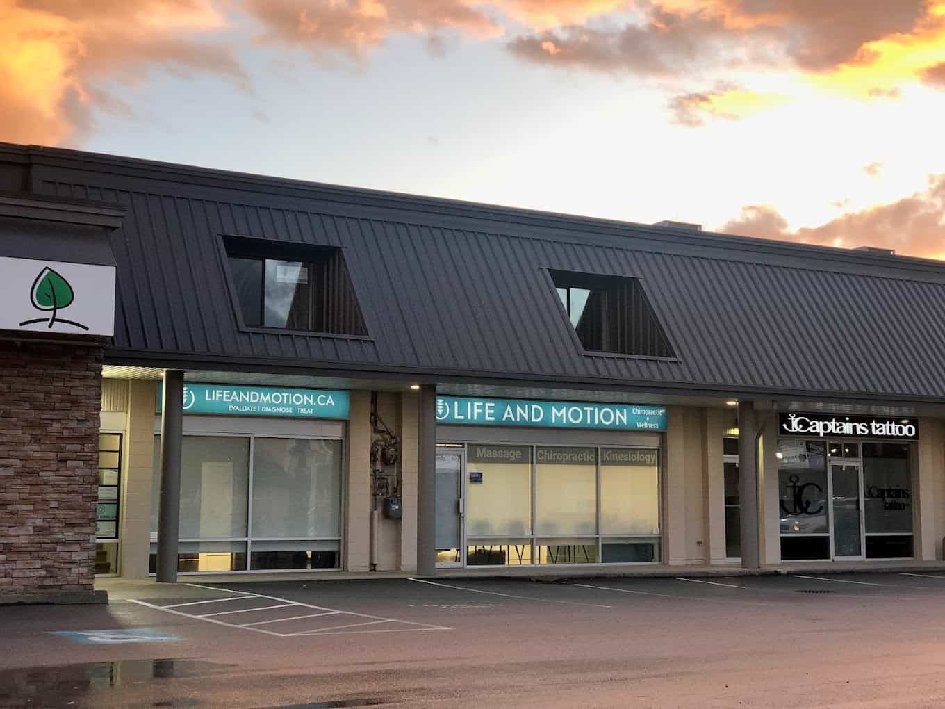 About Us - Life and Motion Chiropractic and Wellness